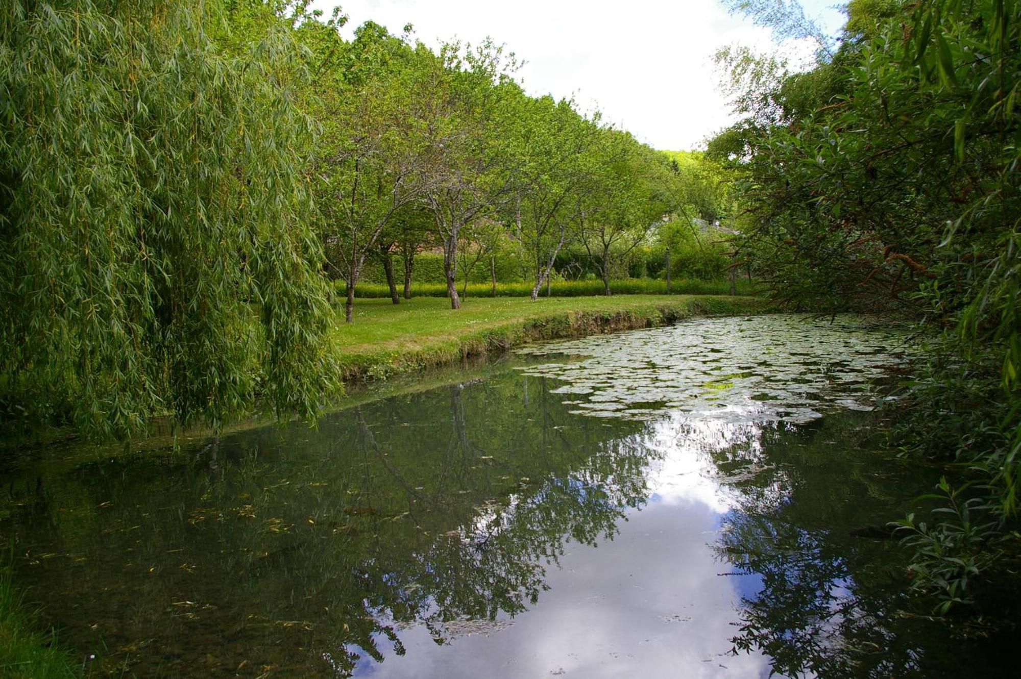 Bed and Breakfast La Source De Bury Chambon-sur-Cisse Exterior foto