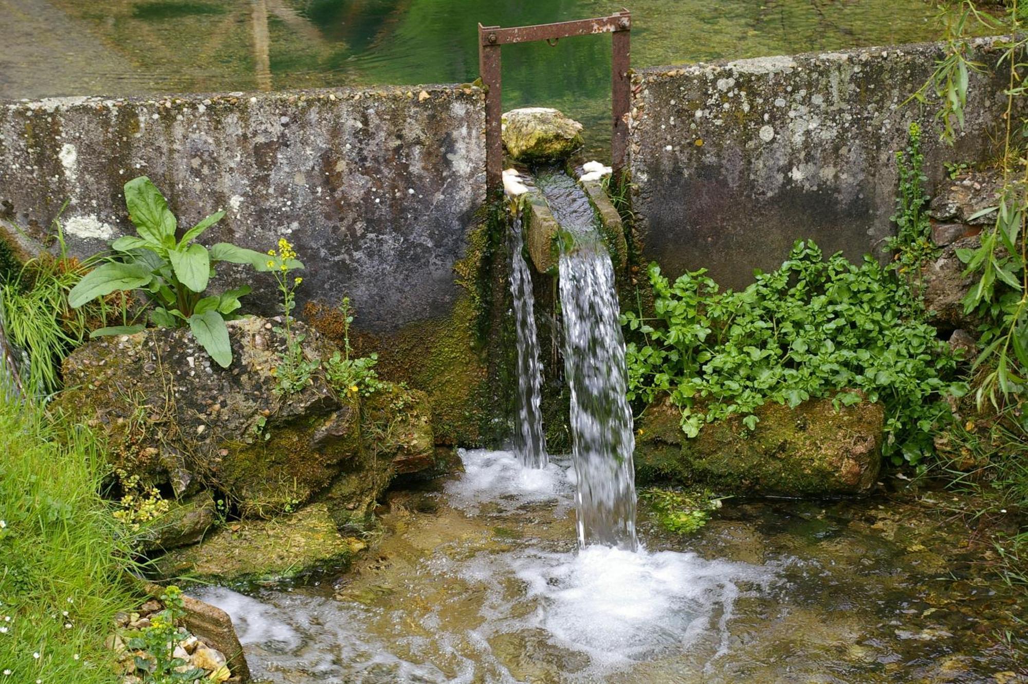 Bed and Breakfast La Source De Bury Chambon-sur-Cisse Exterior foto