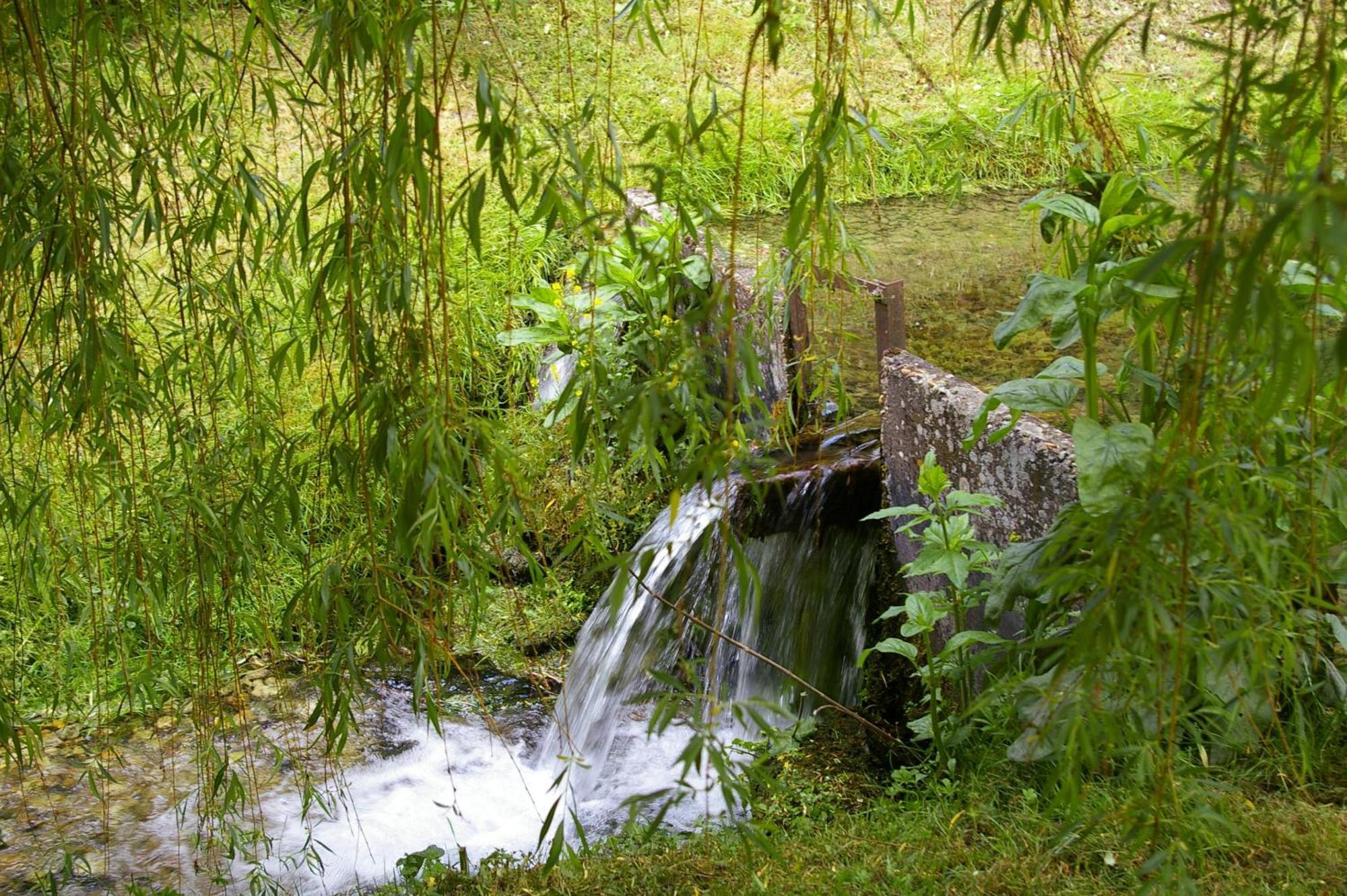 Bed and Breakfast La Source De Bury Chambon-sur-Cisse Exterior foto