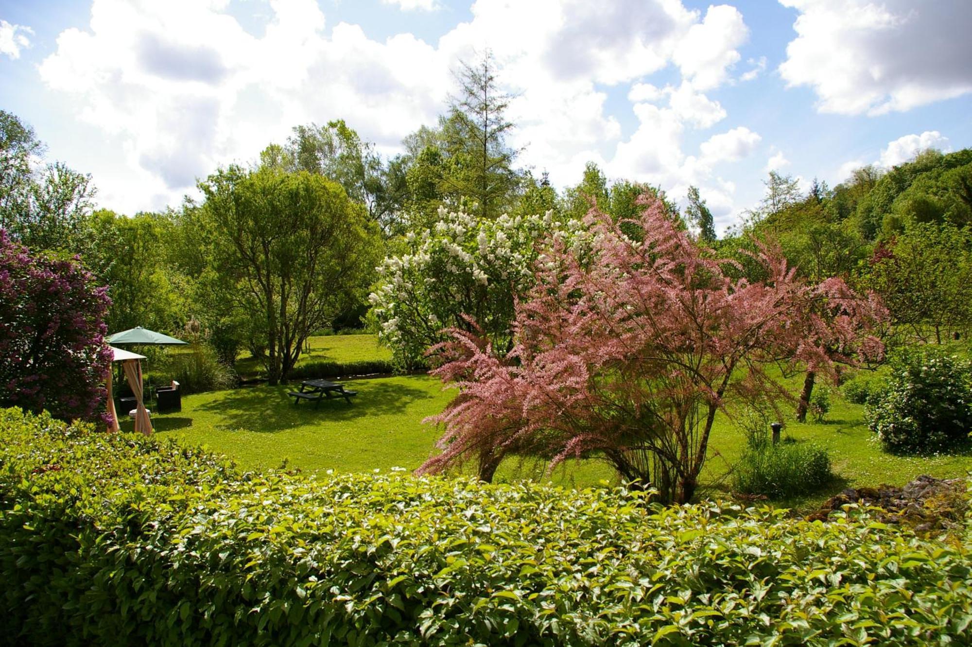 Bed and Breakfast La Source De Bury Chambon-sur-Cisse Exterior foto
